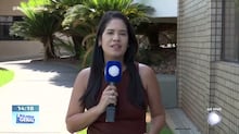 Filhote de elefante se reencontra com a mãe após ser salvo por pescadores em rio; veja vídeo