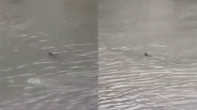 Tiroteo entre dos grupos durante una fiesta de cumpleaños dejó 12 jóvenes heridos en un parque de Georgia