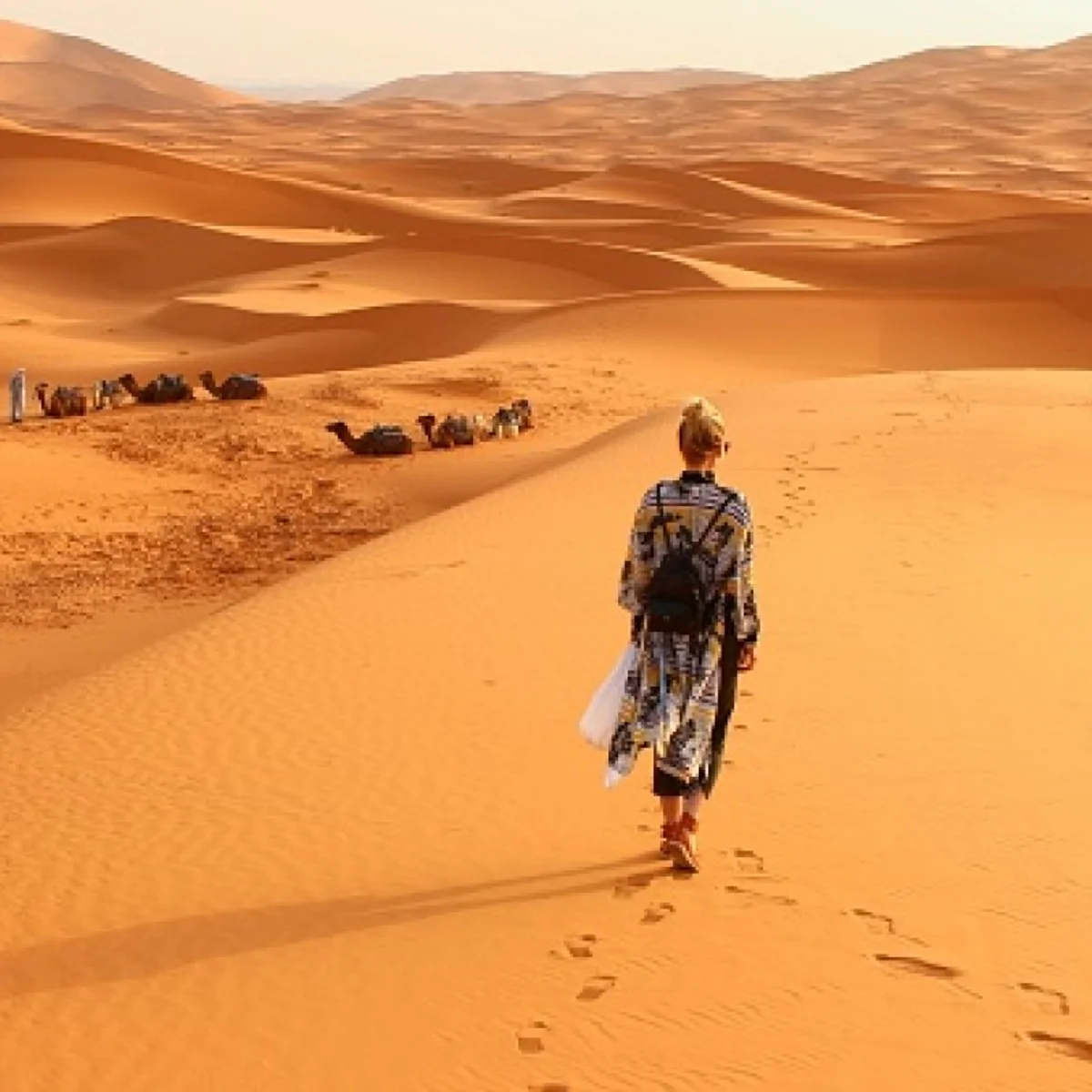 Loyola e o deserto bolsonarista