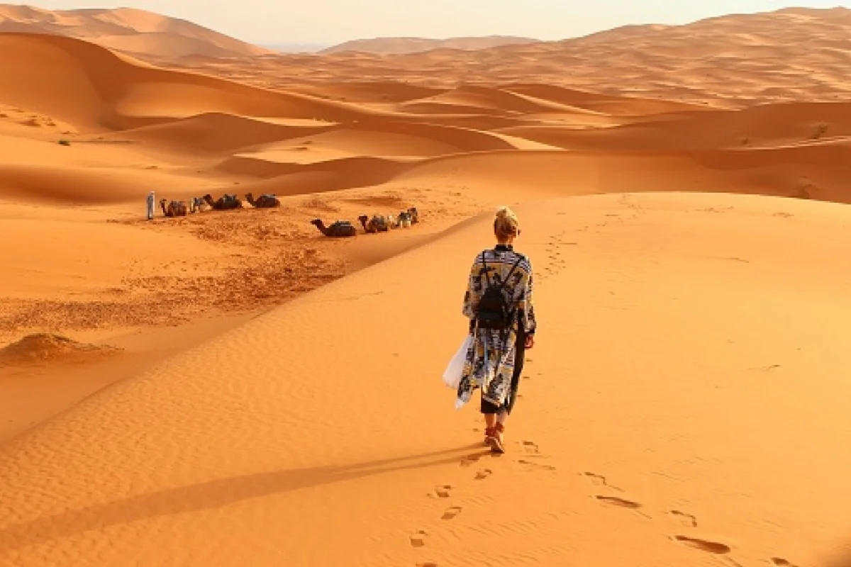 Loyola e o deserto bolsonarista