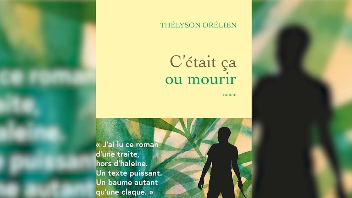 Canadian publisher supports Quebec novelist Thélyson Orélien after AI denial