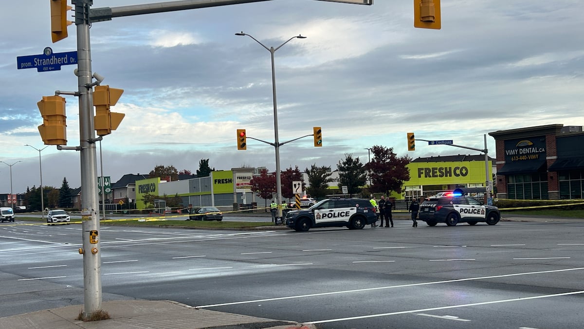 Pedestrian dies after being struck by a vehicle in Barrhaven