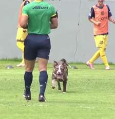 Apesar da cena inusitada, Vasco segurou o resultado e venceu o Madureira - Foto: Reprodução/Vasco TV / Jogada10