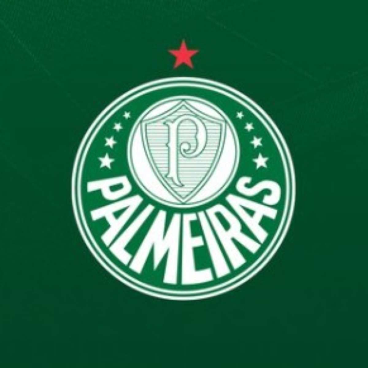 Palmeiras responde nota oficial do Flamengo: ‘Lamentável’