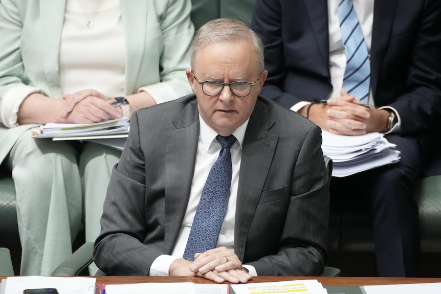 Albanese sits at the table in the House of Reps with his hands folded