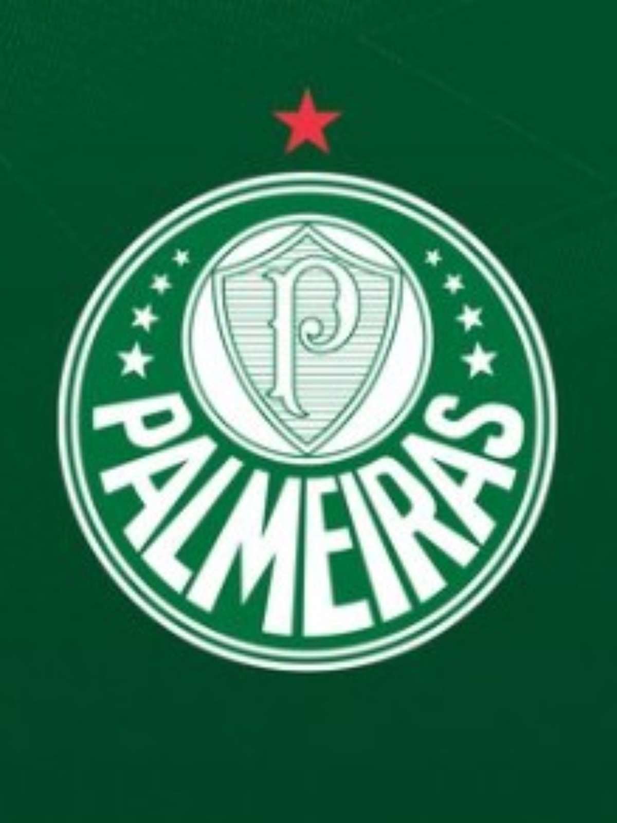 Palmeiras responde nota oficial do Flamengo: ‘Lamentável’