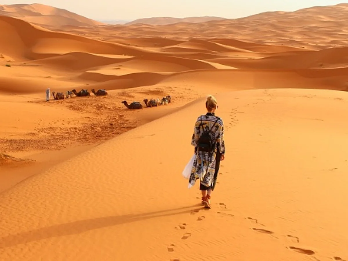 Loyola e o deserto bolsonarista