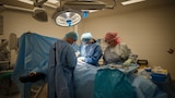 Hospital de Sydney se desculpa por erro em cirurgia eletiva após encaminhamentos serem enviados para caixa de entrada esquecida