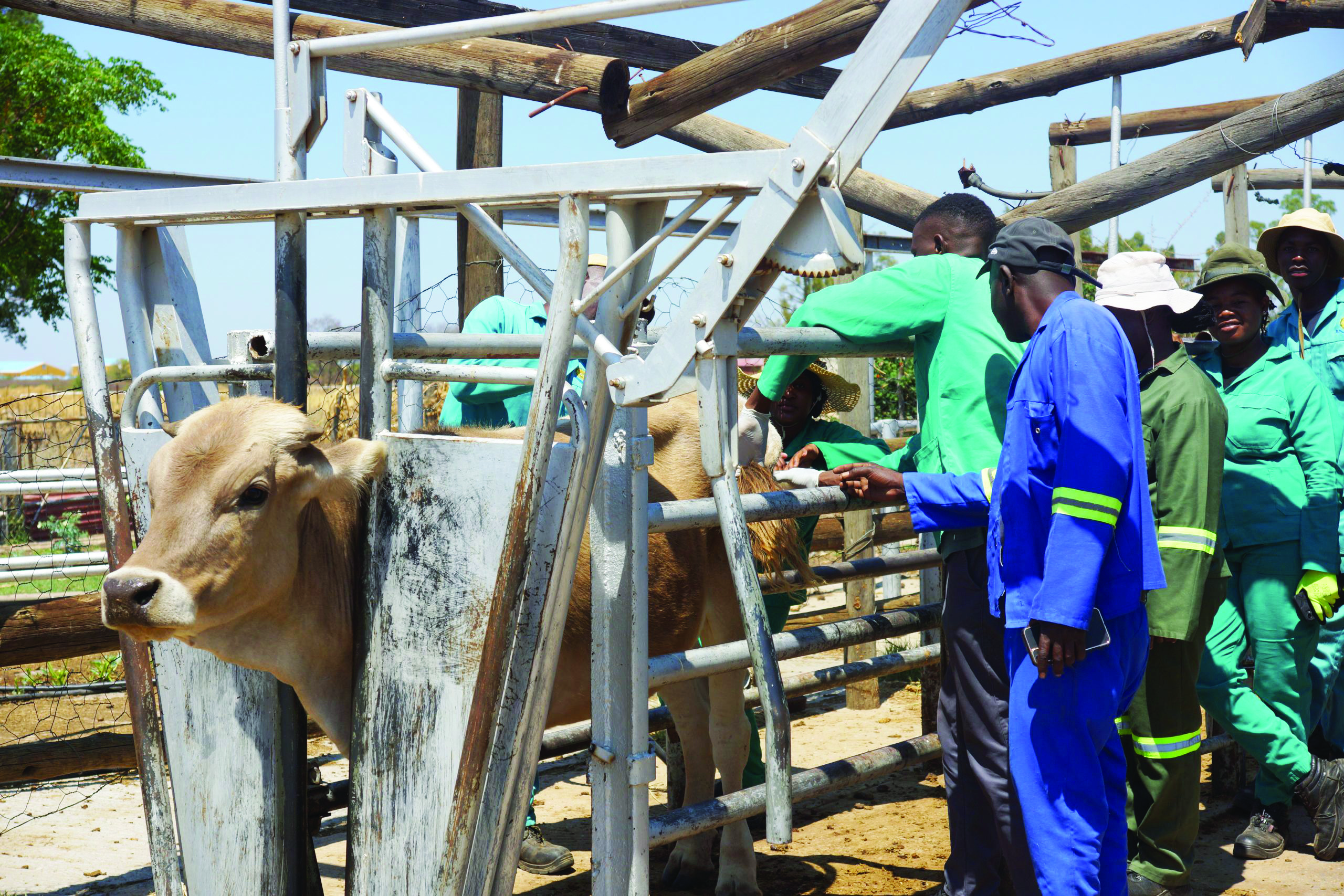 Umukifi oo wa monika meefikola moHardap otau wilikwa nawa – omukulunhu wehongo