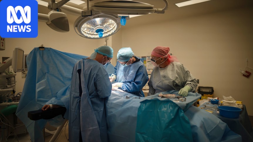 Hospital de Sydney se desculpa por erro em cirurgia eletiva após encaminhamentos serem enviados para caixa de entrada esquecida