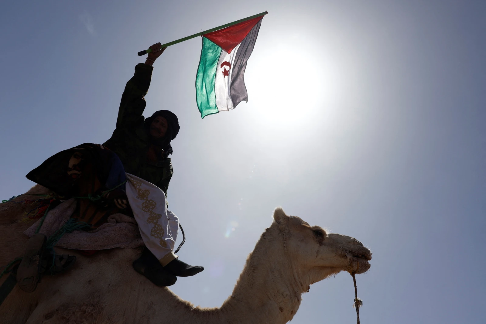 A Palestina solicita reunião urgente da Liga Árabe sobre ataques israelenses