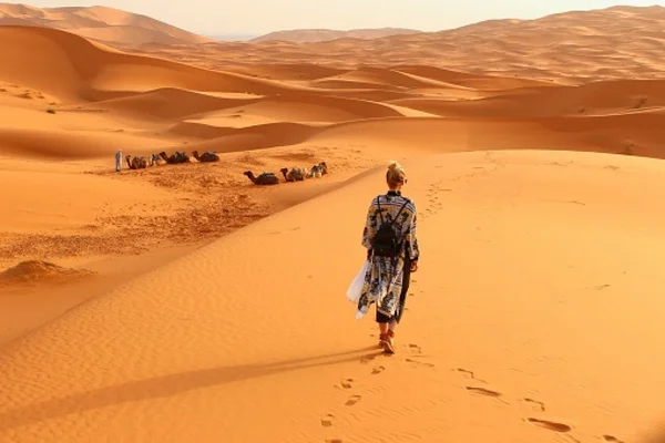 Loyola e o deserto bolsonarista